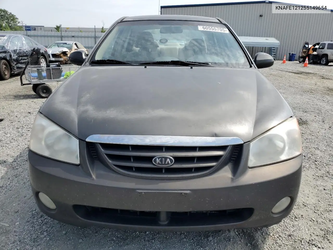 2005 Kia Spectra Lx VIN: KNAFE121255149654 Lot: 60555705