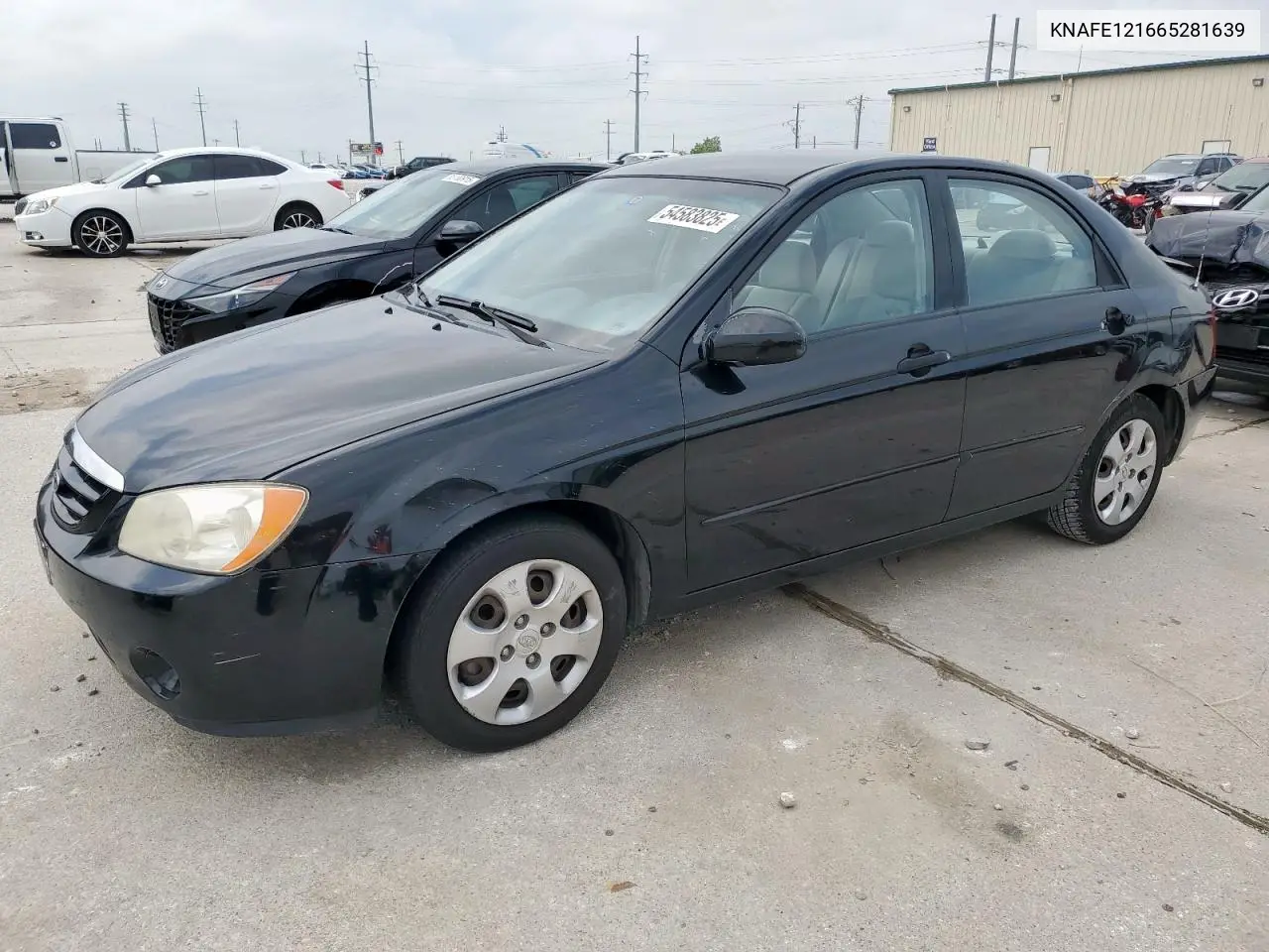 2006 Kia Spectra Lx VIN: KNAFE121665281639 Lot: 54583825