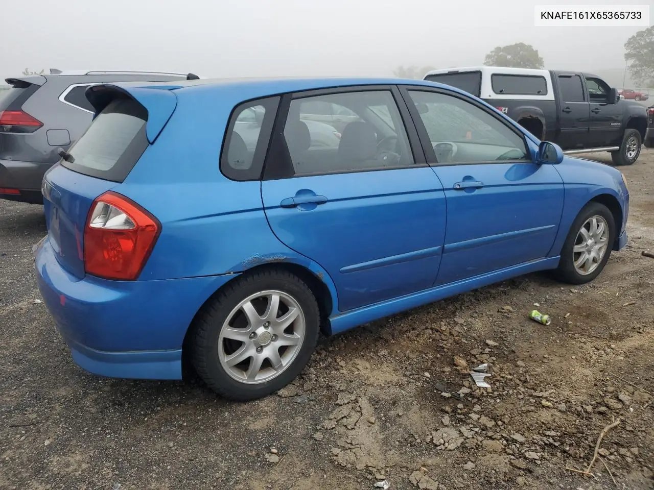 2006 Kia Spectra5 VIN: KNAFE161X65365733 Lot: 56942305
