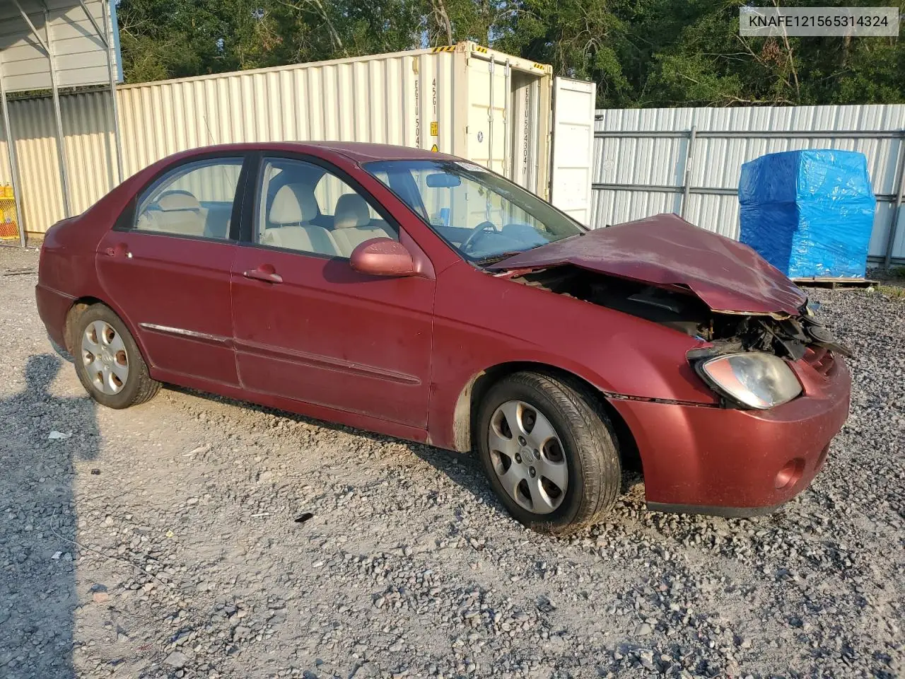 2006 Kia Spectra Lx VIN: KNAFE121565314324 Lot: 62158485