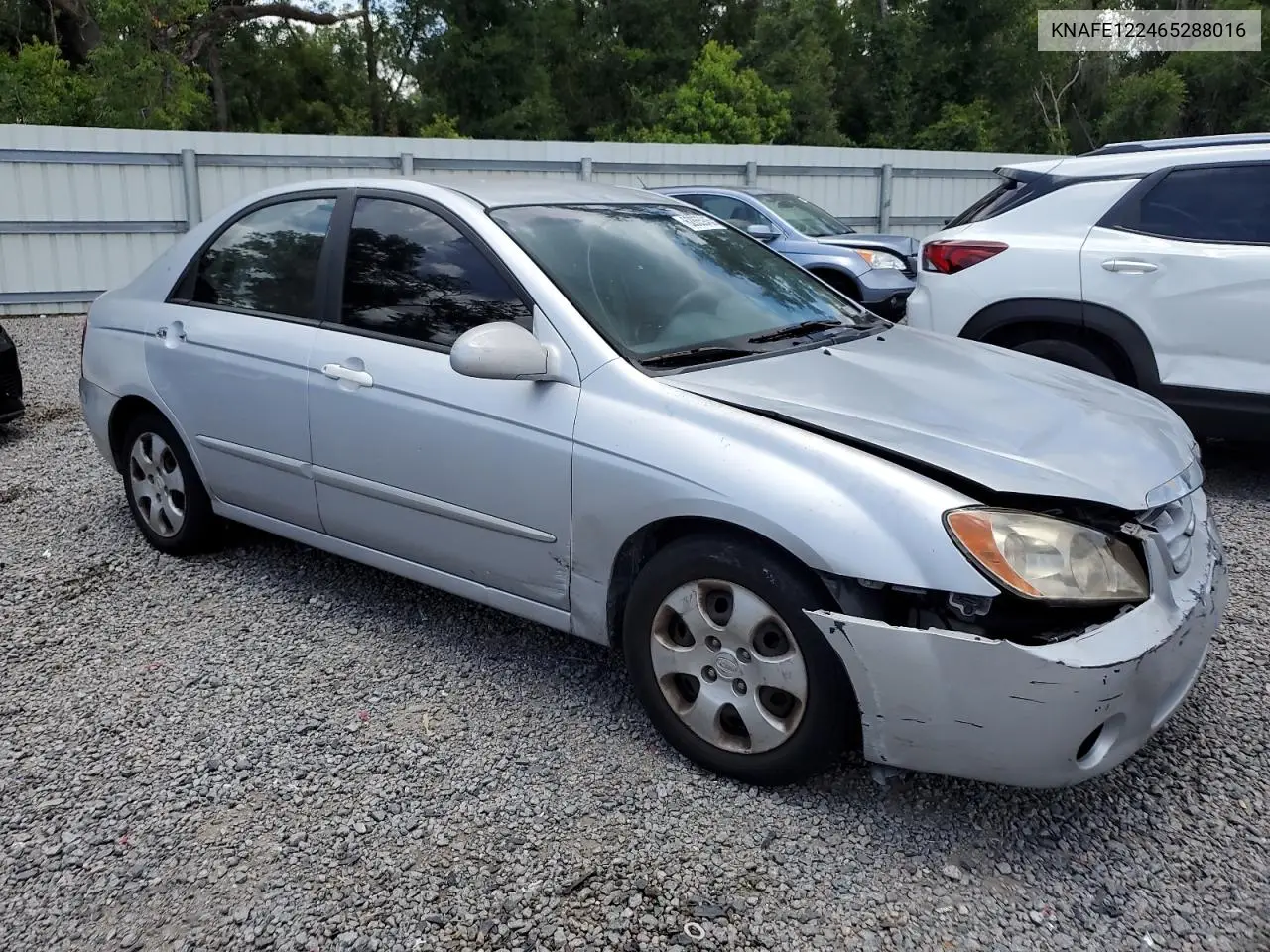 2006 Kia Spectra Lx VIN: KNAFE122465288016 Lot: 62855945