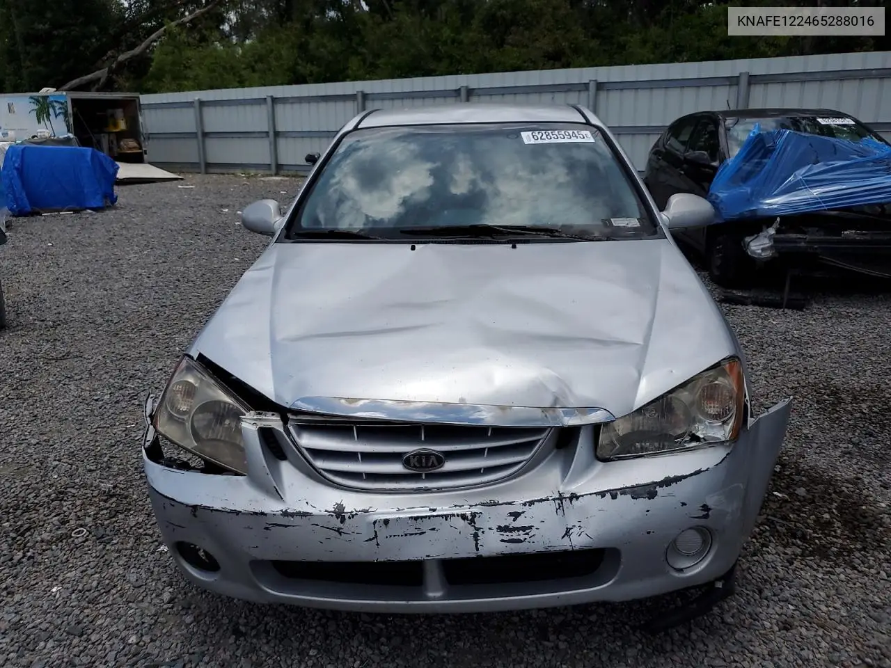 2006 Kia Spectra Lx VIN: KNAFE122465288016 Lot: 62855945