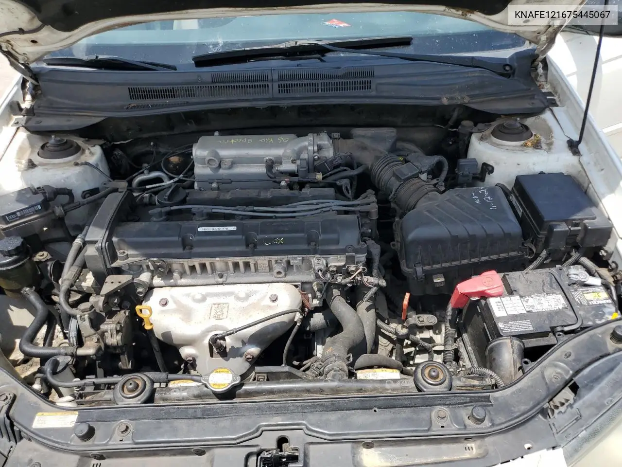 2007 Kia Spectra Ex VIN: KNAFE121675445067 Lot: 60154315