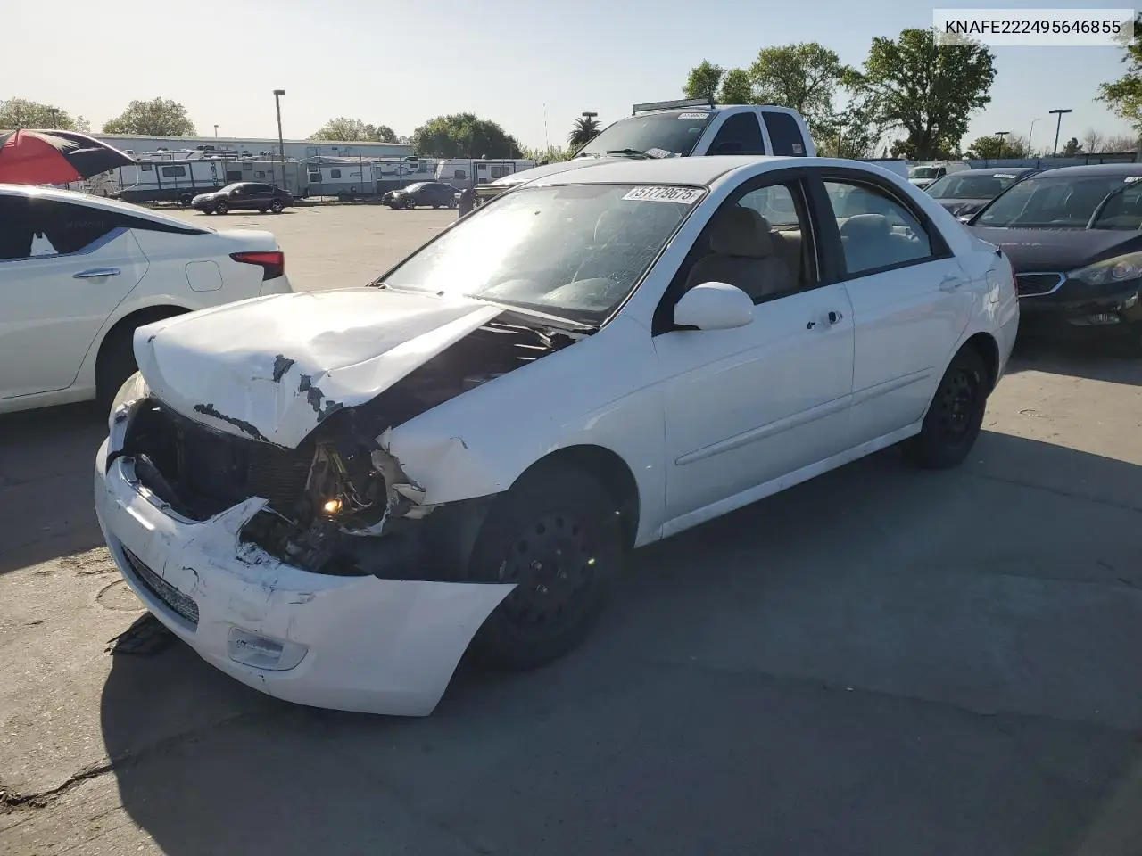 2009 Kia Spectra Ex VIN: KNAFE222495646855 Lot: 51779675