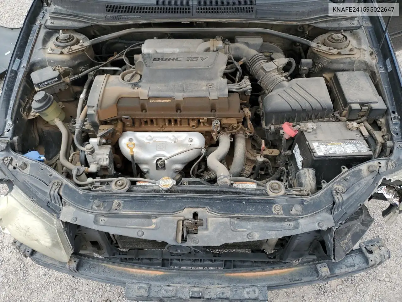 2009 Kia Spectra Sx VIN: KNAFE241595022647 Lot: 55653485