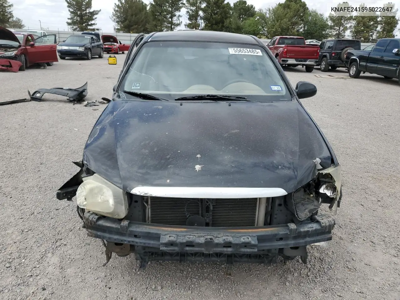2009 Kia Spectra Sx VIN: KNAFE241595022647 Lot: 55653485
