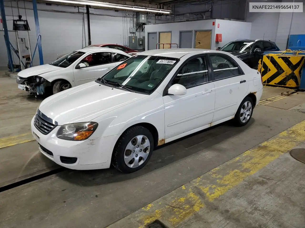 2009 Kia Spectra Ex VIN: KNAFE221495654137 Lot: 55777665