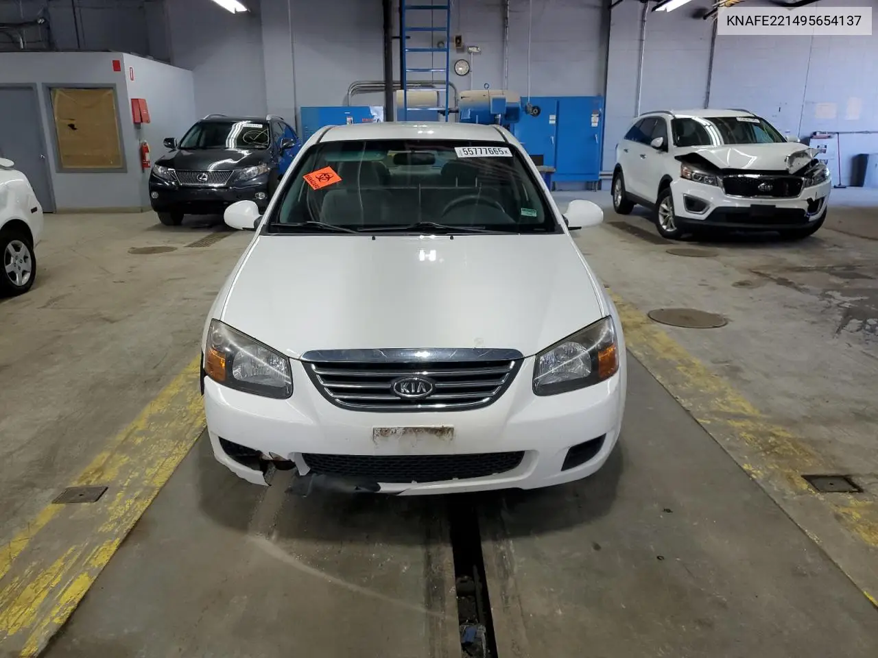 2009 Kia Spectra Ex VIN: KNAFE221495654137 Lot: 55777665