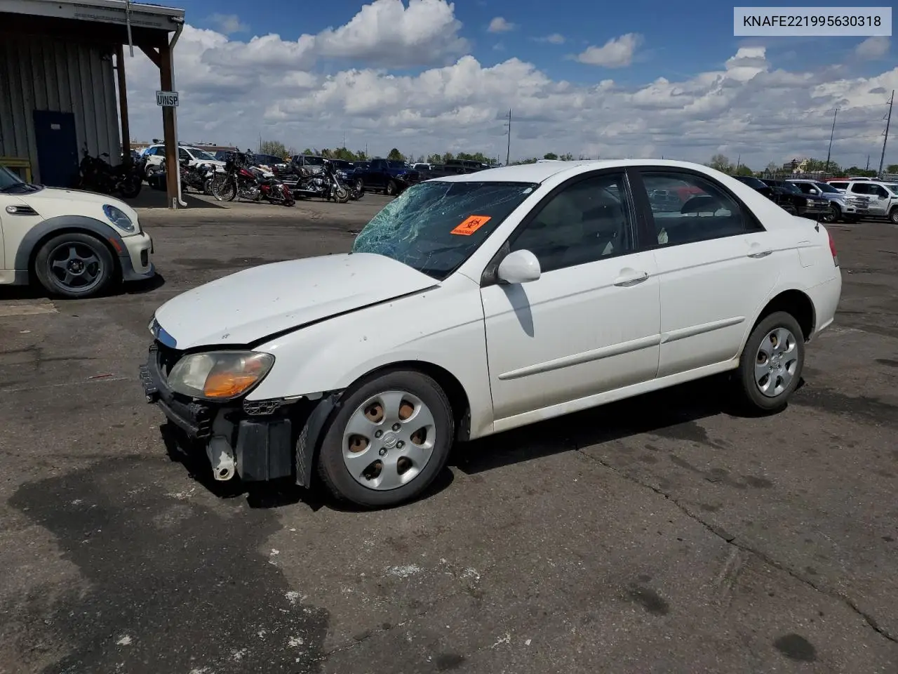 2009 Kia Spectra Ex VIN: KNAFE221995630318 Lot: 55817285