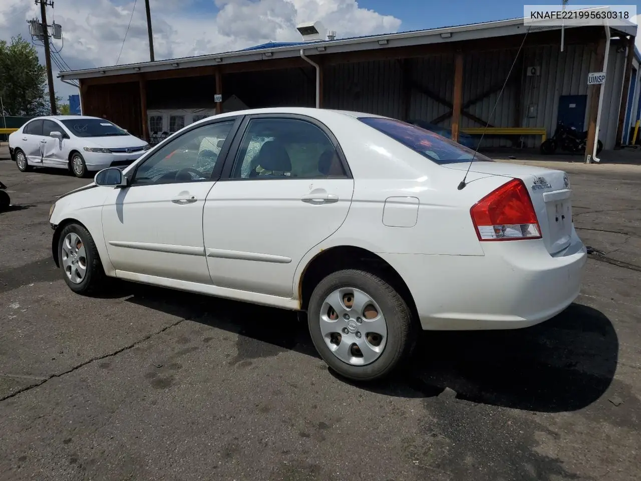 2009 Kia Spectra Ex VIN: KNAFE221995630318 Lot: 55817285