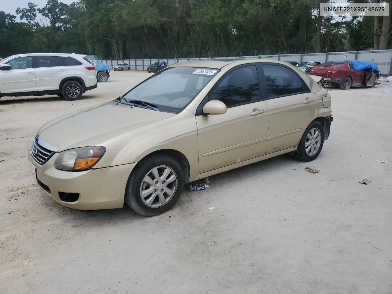 2009 Kia Spectra Ex VIN: KNAFE221X95648679 Lot: 55967485