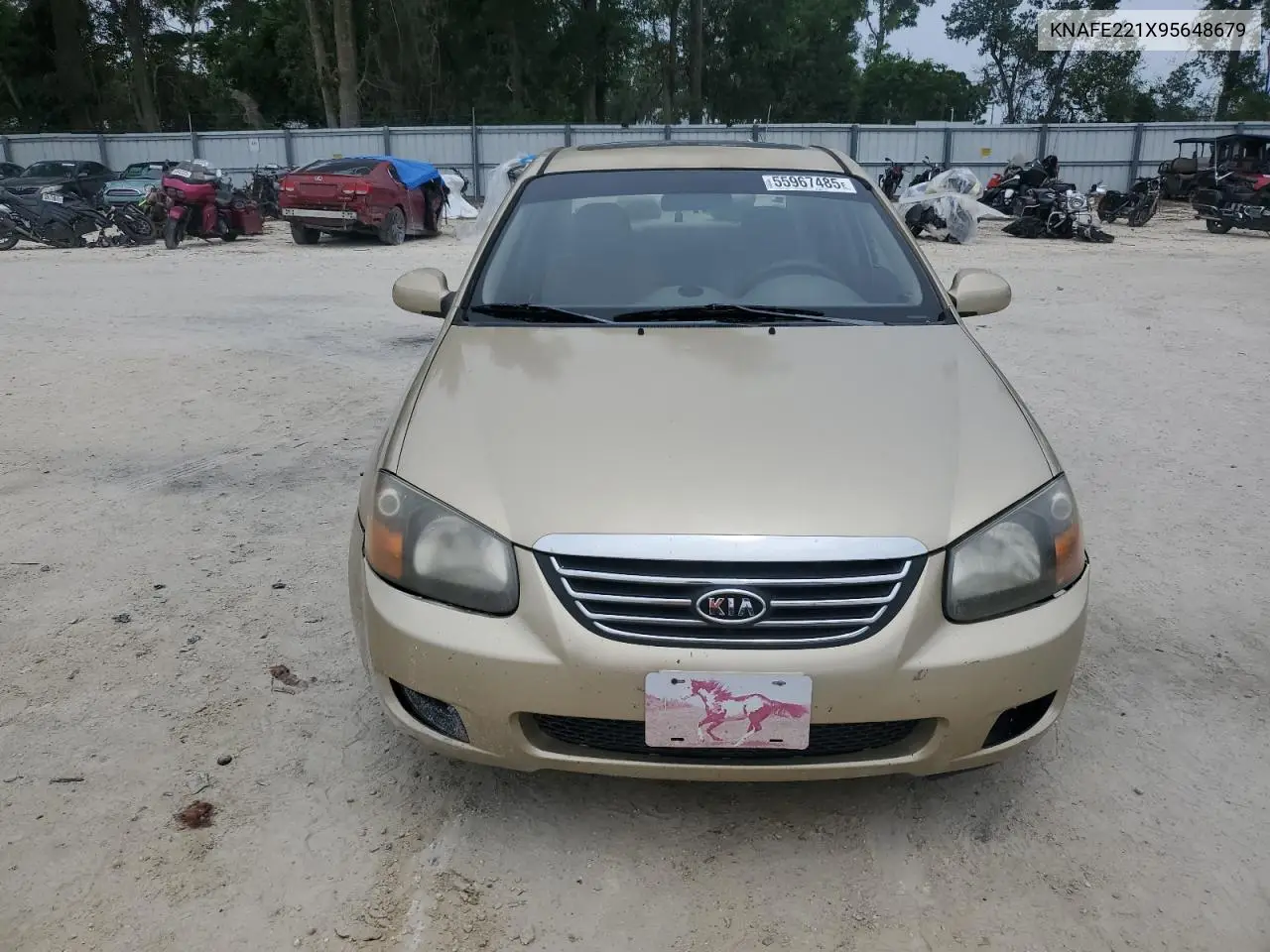 2009 Kia Spectra Ex VIN: KNAFE221X95648679 Lot: 55967485