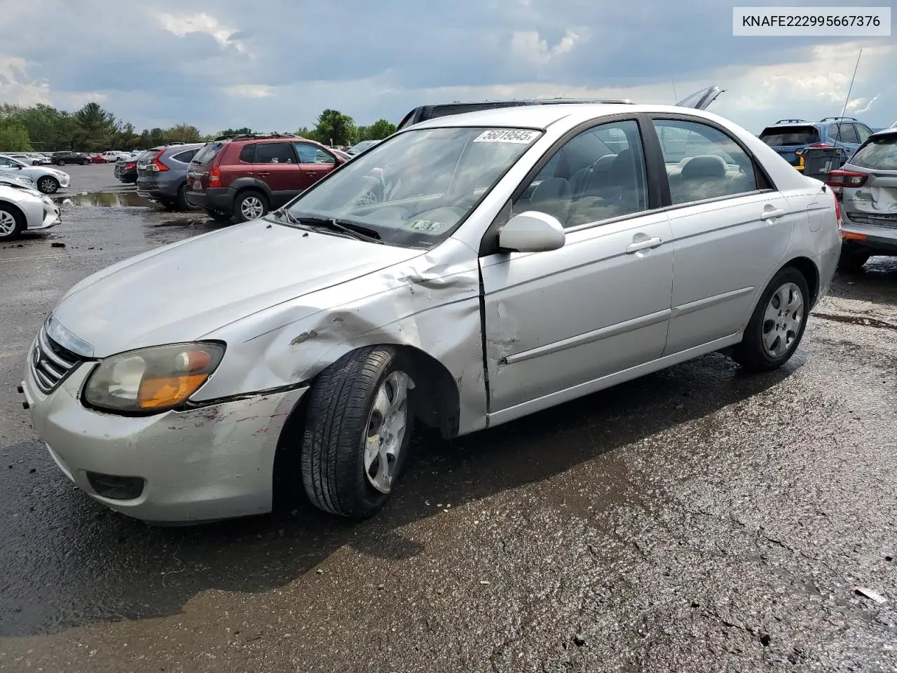 2009 Kia Spectra Ex VIN: KNAFE222995667376 Lot: 56019545