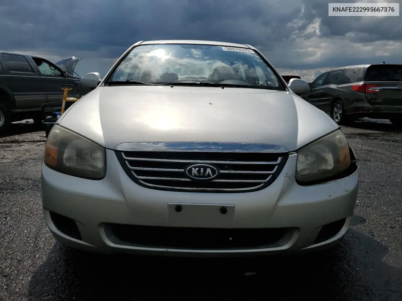 2009 Kia Spectra Ex VIN: KNAFE222995667376 Lot: 56019545