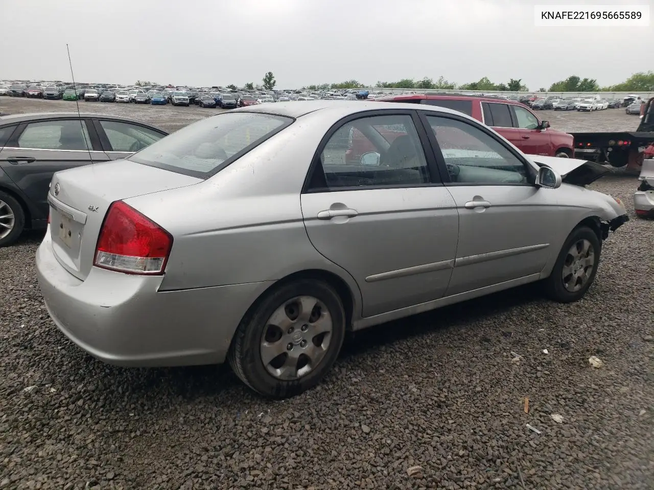 2009 Kia Spectra Ex VIN: KNAFE221695665589 Lot: 56040425