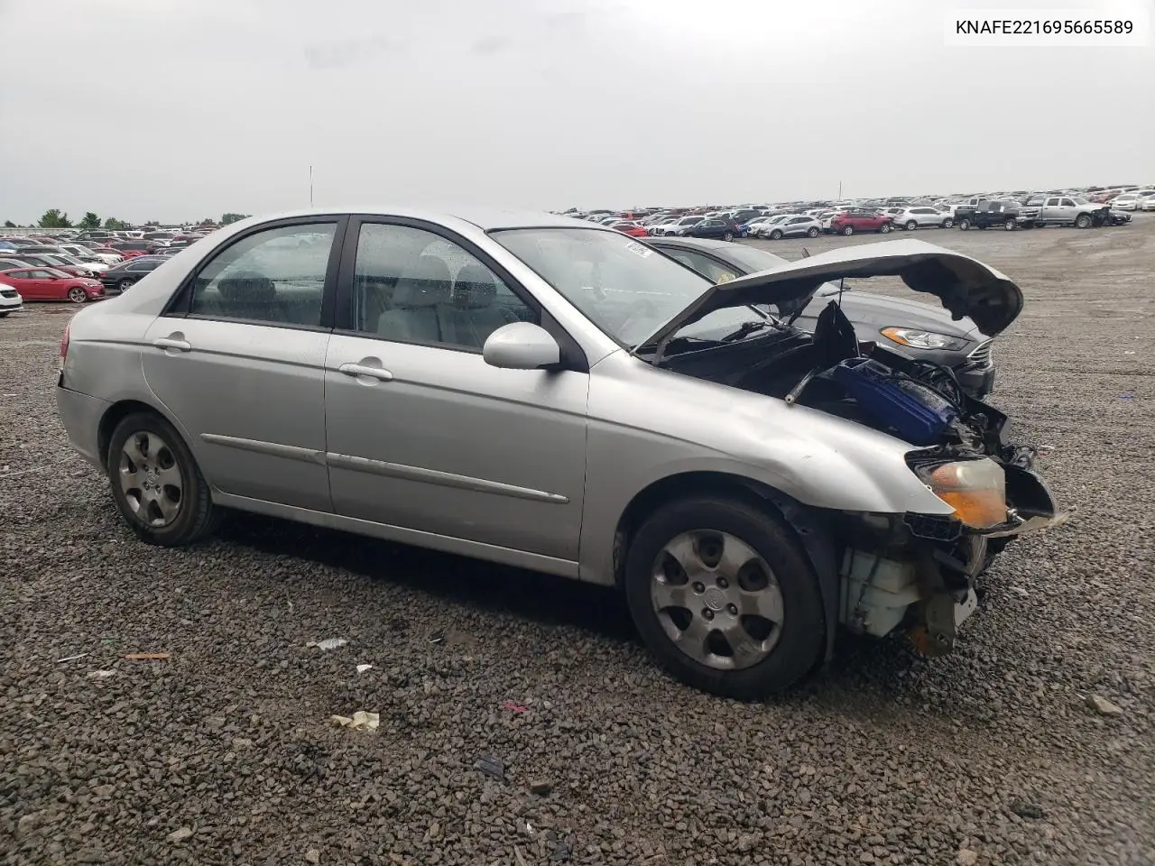 2009 Kia Spectra Ex VIN: KNAFE221695665589 Lot: 56040425