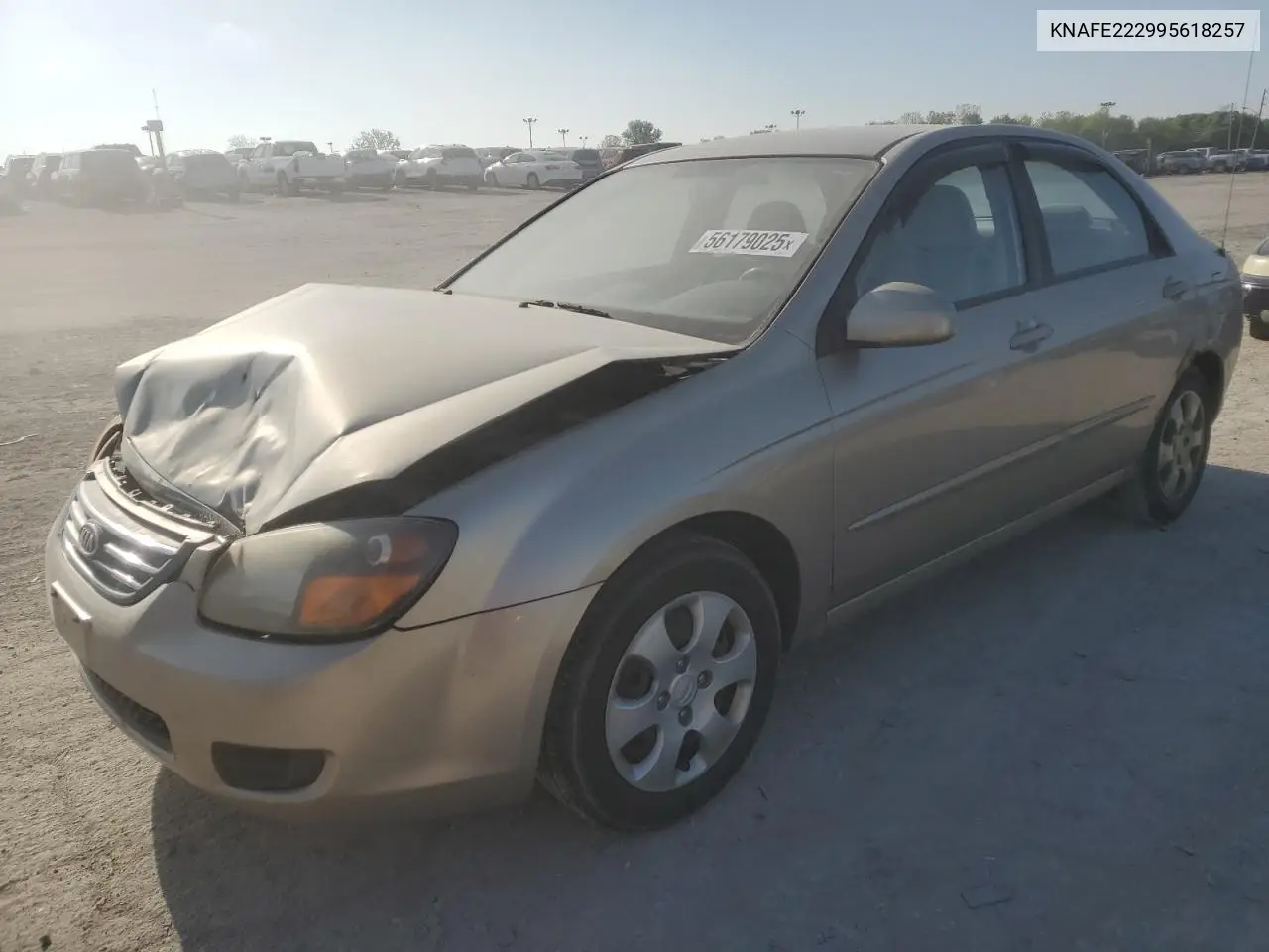 2009 Kia Spectra Ex VIN: KNAFE222995618257 Lot: 56179025