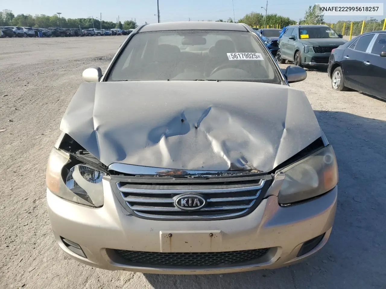 2009 Kia Spectra Ex VIN: KNAFE222995618257 Lot: 56179025