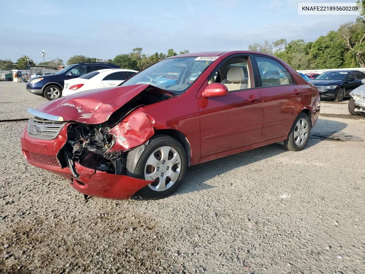 2009 Kia Spectra Ex VIN: KNAFE221895600209 Lot: 56320565