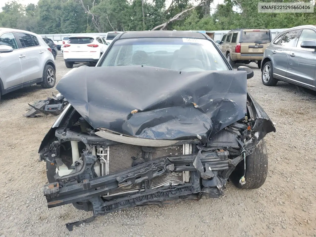 2009 Kia Spectra Ex VIN: KNAFE221295660406 Lot: 56399355