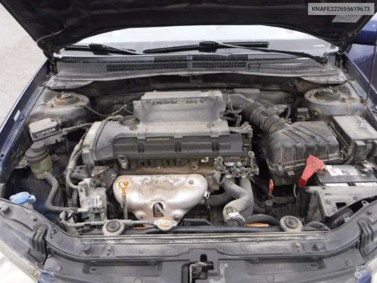 2009 Kia Spectra Ex VIN: KNAFE222695619673 Lot: 62959315