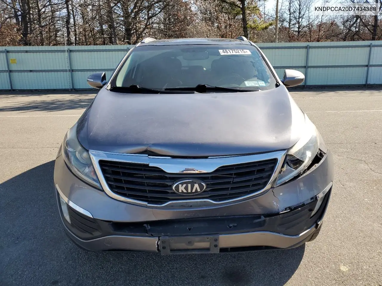2013 Kia Sportage Ex VIN: KNDPCCA20D7434388 Lot: 48175215