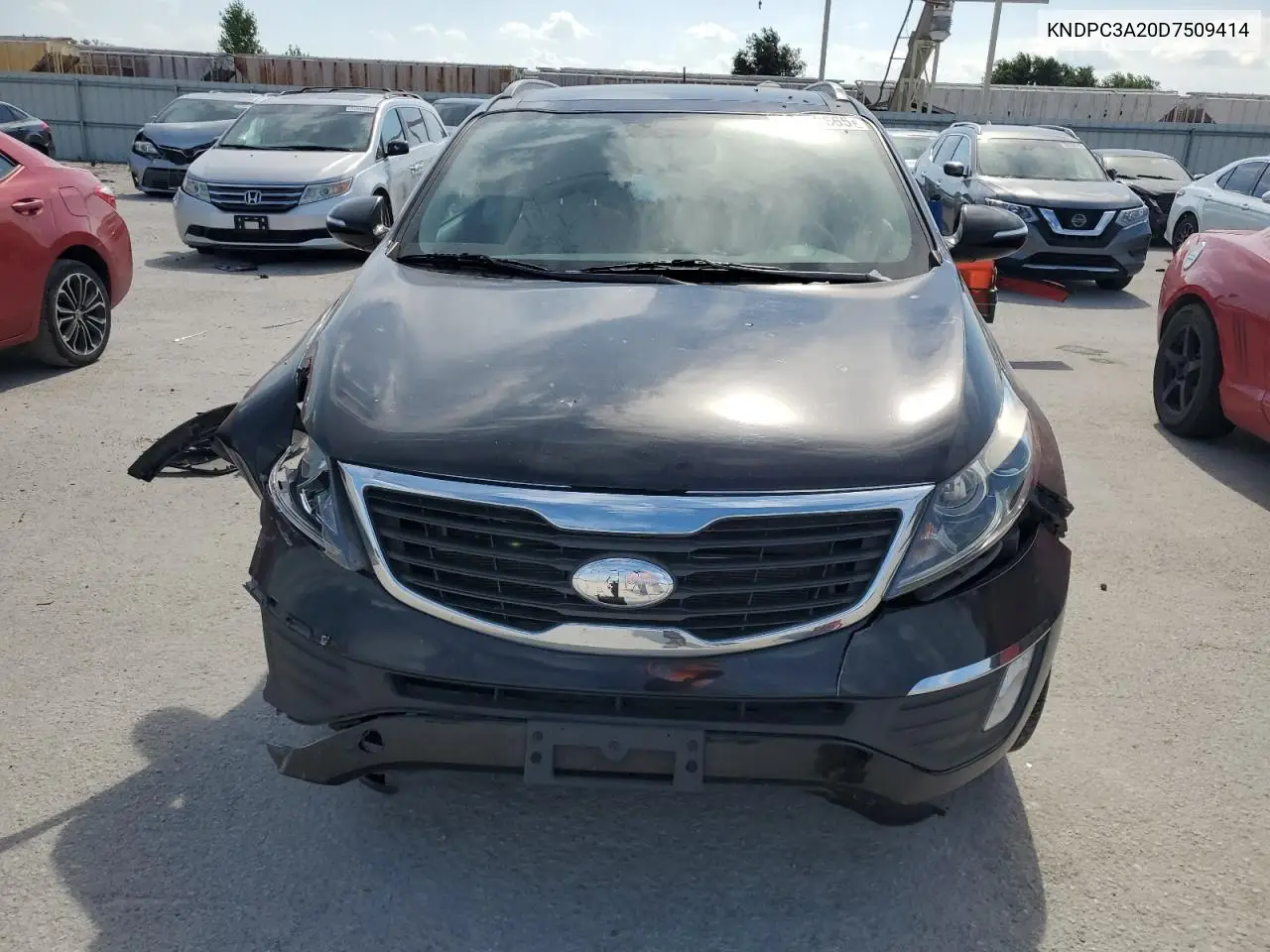 2013 Kia Sportage Ex VIN: KNDPC3A20D7509414 Lot: 62112665