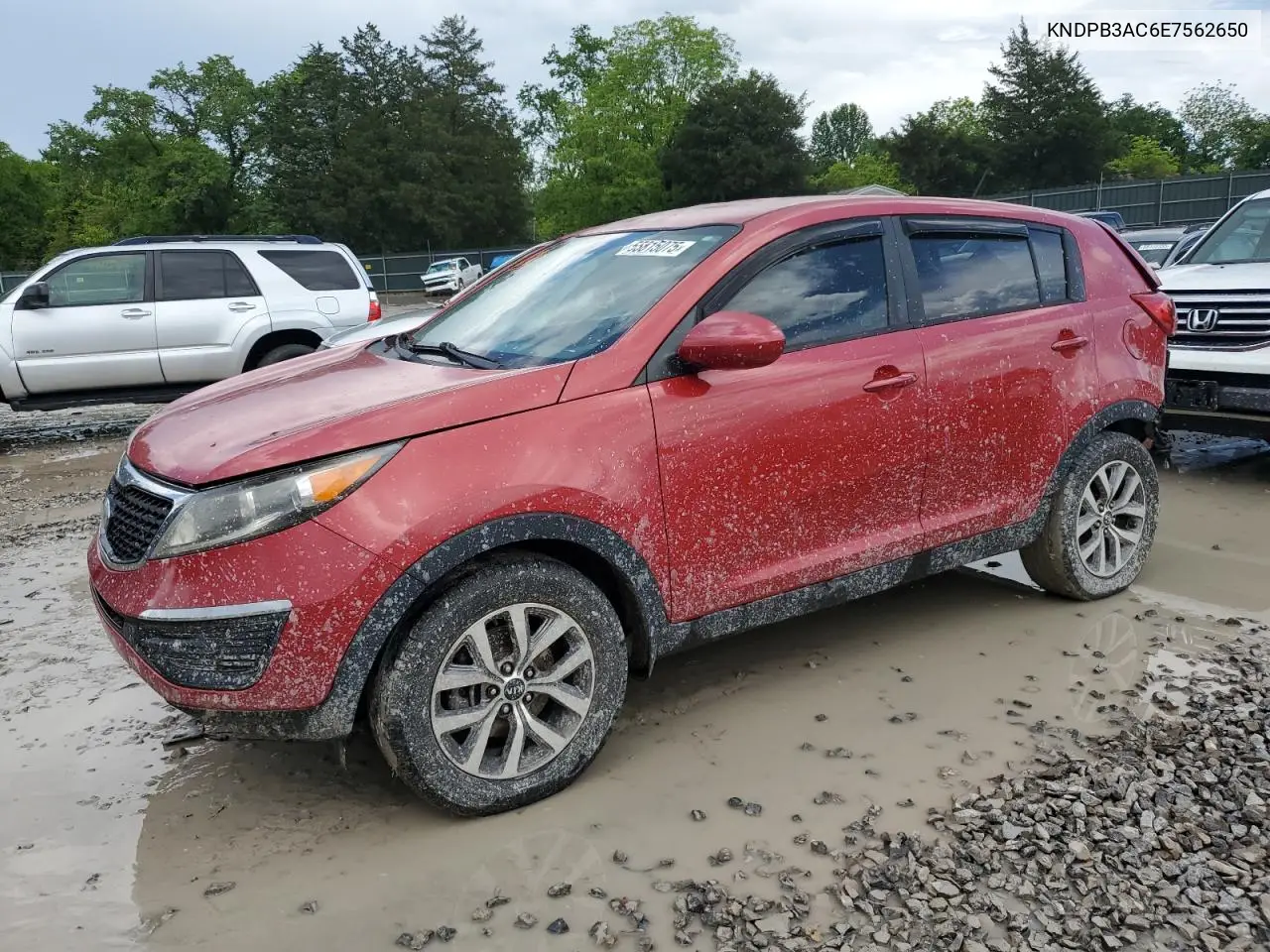 2014 Kia Sportage Base VIN: KNDPB3AC6E7562650 Lot: 55815075
