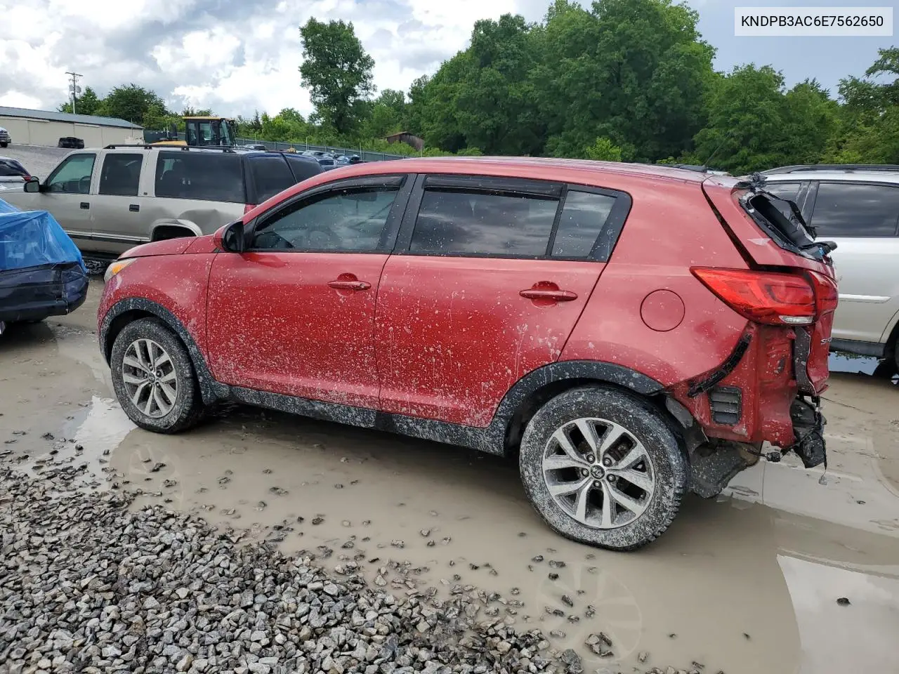 2014 Kia Sportage Base VIN: KNDPB3AC6E7562650 Lot: 55815075