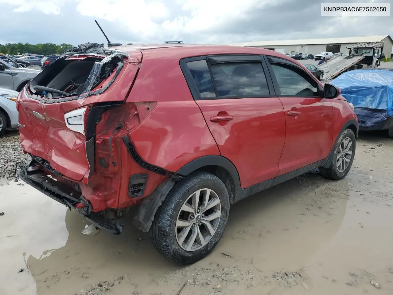 2014 Kia Sportage Base VIN: KNDPB3AC6E7562650 Lot: 55815075