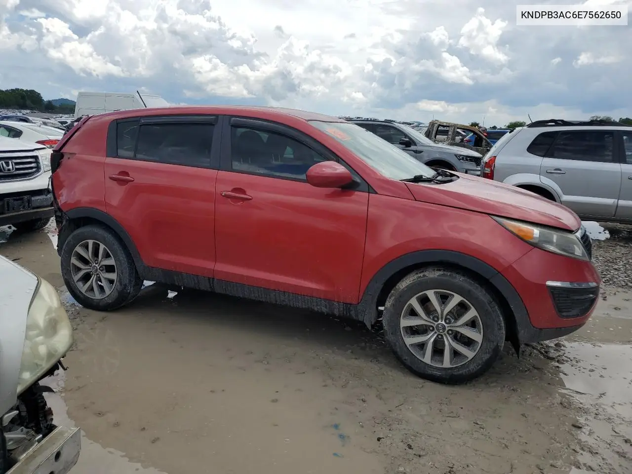 2014 Kia Sportage Base VIN: KNDPB3AC6E7562650 Lot: 55815075