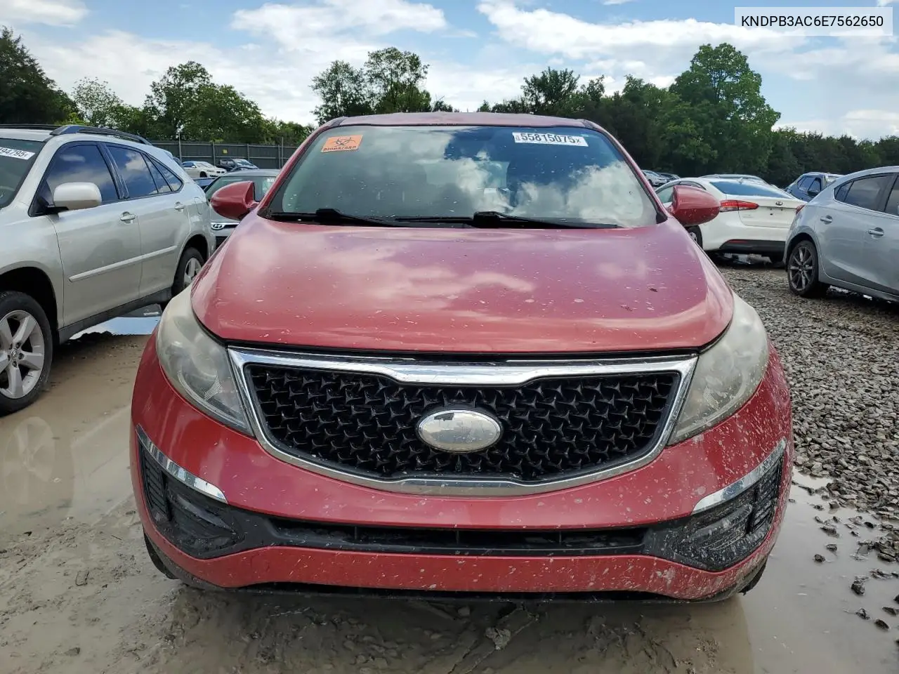 2014 Kia Sportage Base VIN: KNDPB3AC6E7562650 Lot: 55815075