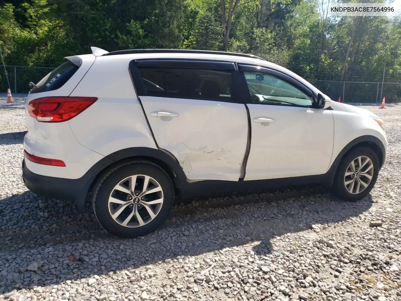 2014 Kia Sportage Base VIN: KNDPB3AC8E7564996 Lot: 65767755
