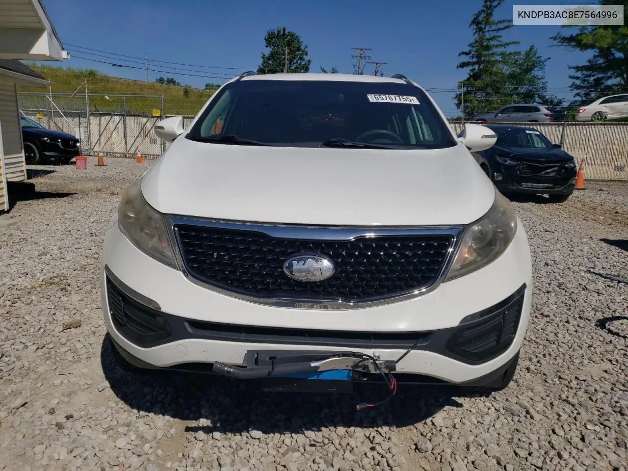 2014 Kia Sportage Base VIN: KNDPB3AC8E7564996 Lot: 65767755