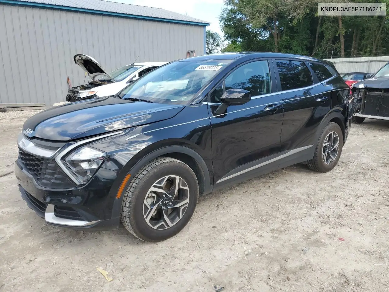 2023 Kia Sportage Lx VIN: KNDPU3AF5P7186241 Lot: 56376375