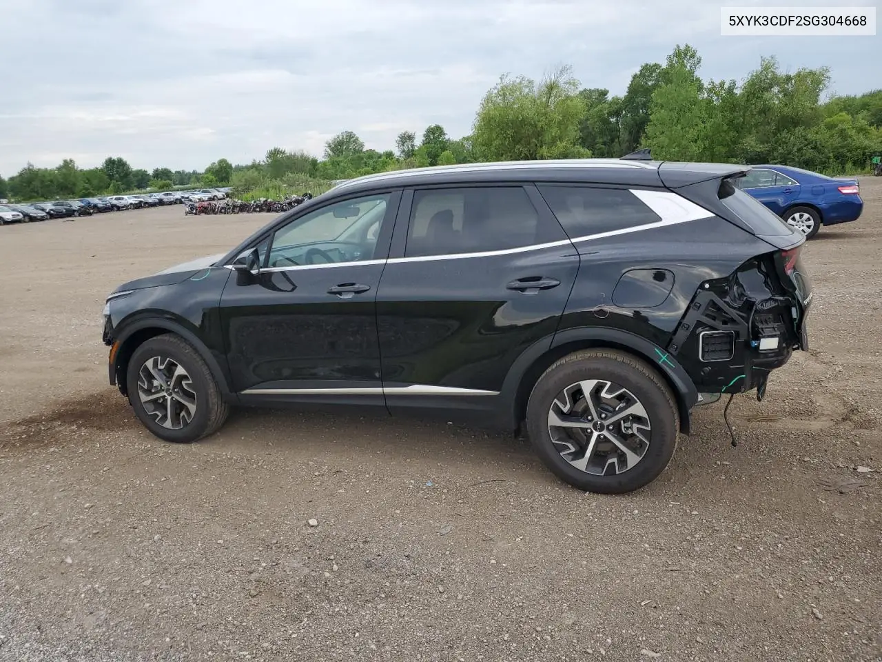 2025 Kia Sportage Ex VIN: 5XYK3CDF2SG304668 Lot: 62924585