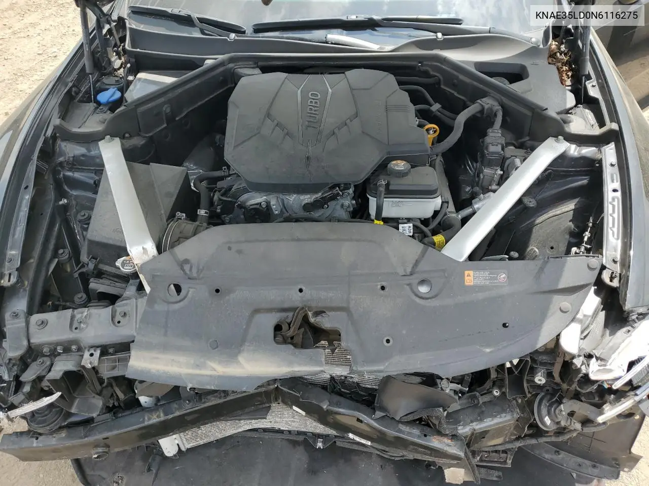 2022 Kia Stinger Gt Line VIN: KNAE35LD0N6116275 Lot: 56538315