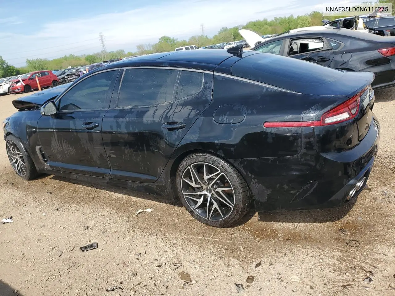 2022 Kia Stinger Gt Line VIN: KNAE35LD0N6116275 Lot: 56538315