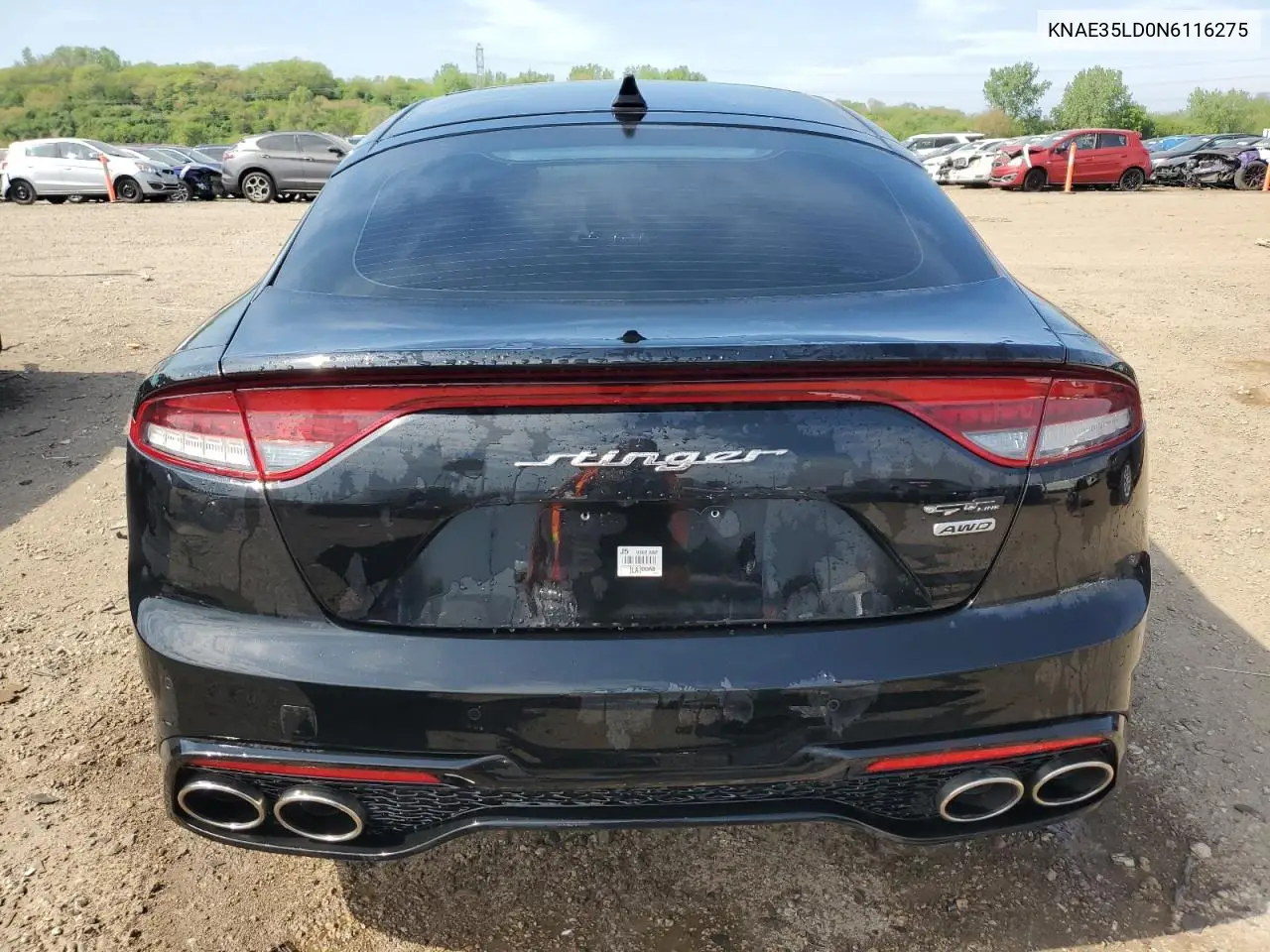 2022 Kia Stinger Gt Line VIN: KNAE35LD0N6116275 Lot: 56538315
