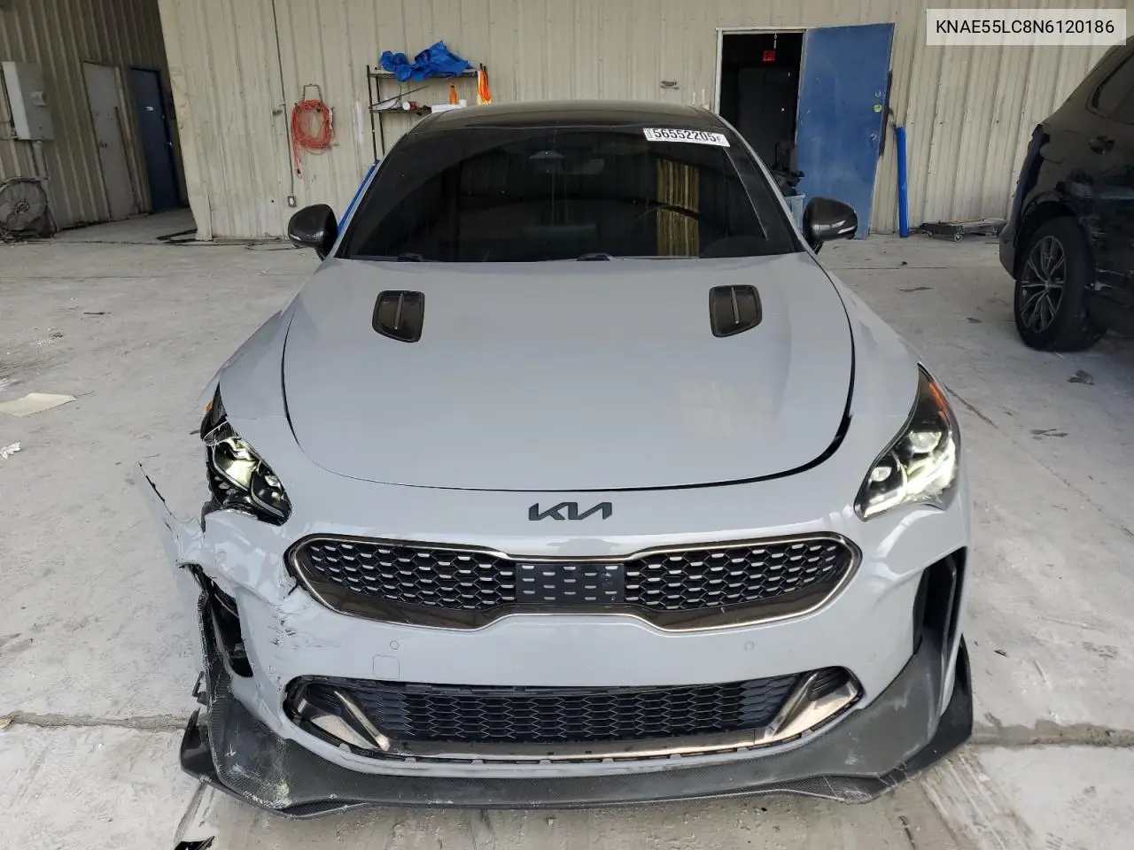 2022 Kia Stinger Gt2 VIN: KNAE55LC8N6120186 Lot: 56552205
