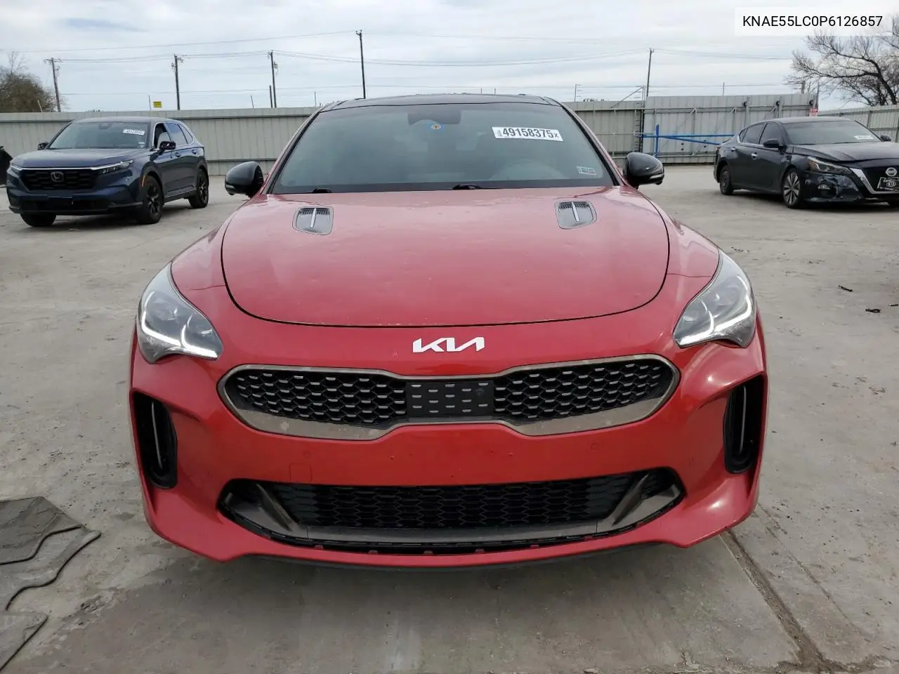 2023 Kia Stinger Gt2 VIN: KNAE55LC0P6126857 Lot: 49158375