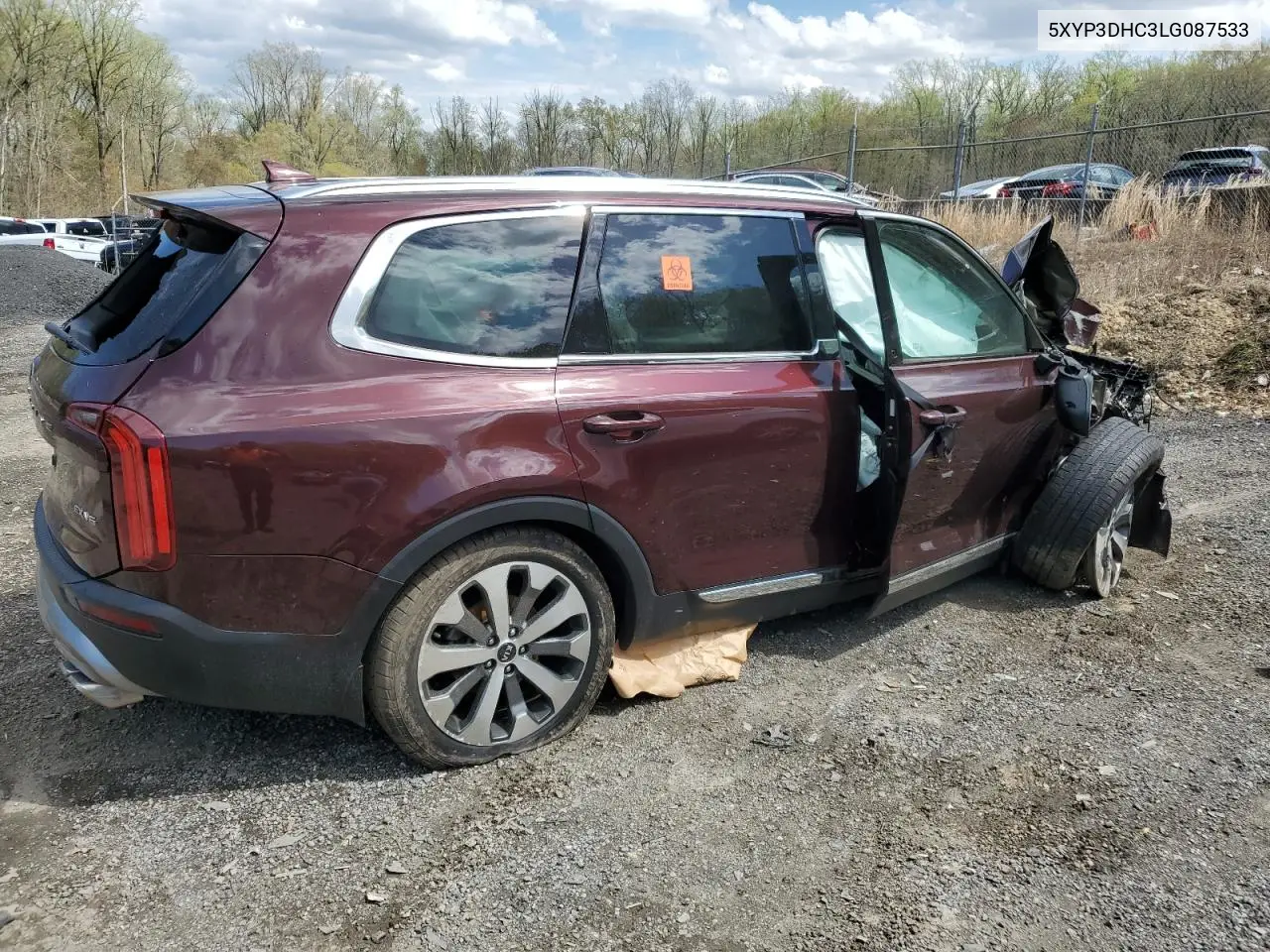 2020 Kia Telluride Ex VIN: 5XYP3DHC3LG087533 Lot: 52925705