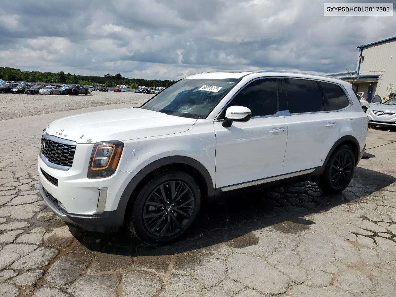 2020 Kia Telluride Sx VIN: 5XYP5DHC0LG017305 Lot: 56559375