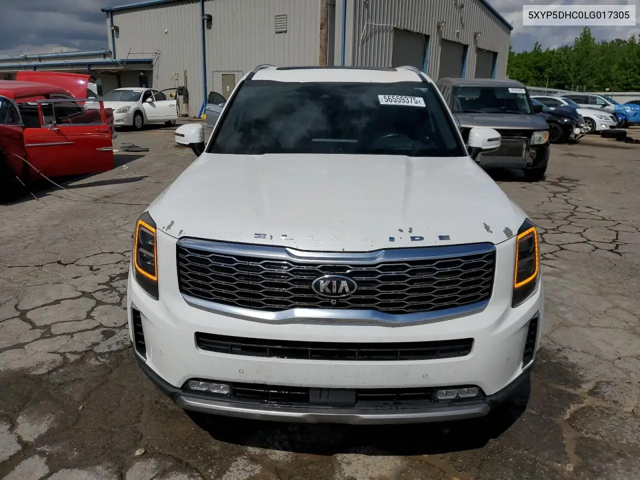 2020 Kia Telluride Sx VIN: 5XYP5DHC0LG017305 Lot: 56559375
