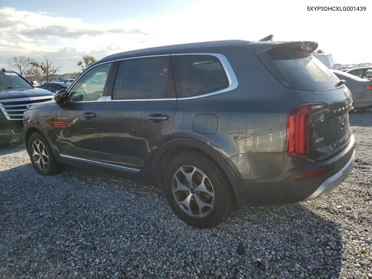 2020 Kia Telluride Ex VIN: 5XYP3DHCXLG001439 Lot: 56702845