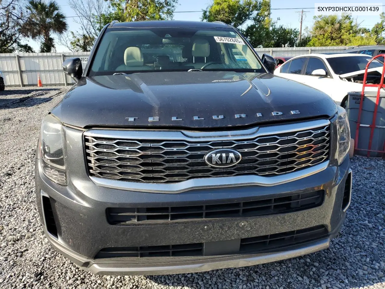 2020 Kia Telluride Ex VIN: 5XYP3DHCXLG001439 Lot: 56702845