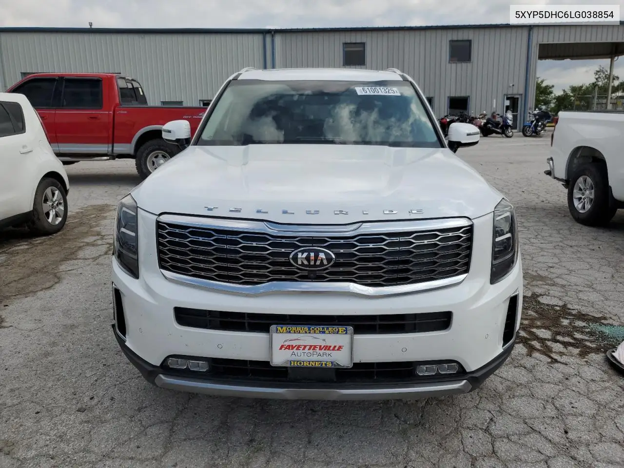 2020 Kia Telluride Sx VIN: 5XYP5DHC6LG038854 Lot: 61001325