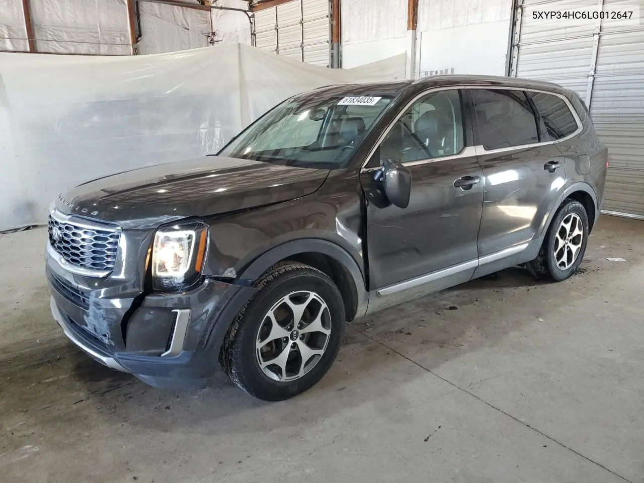 2020 Kia Telluride Ex VIN: 5XYP34HC6LG012647 Lot: 61834035