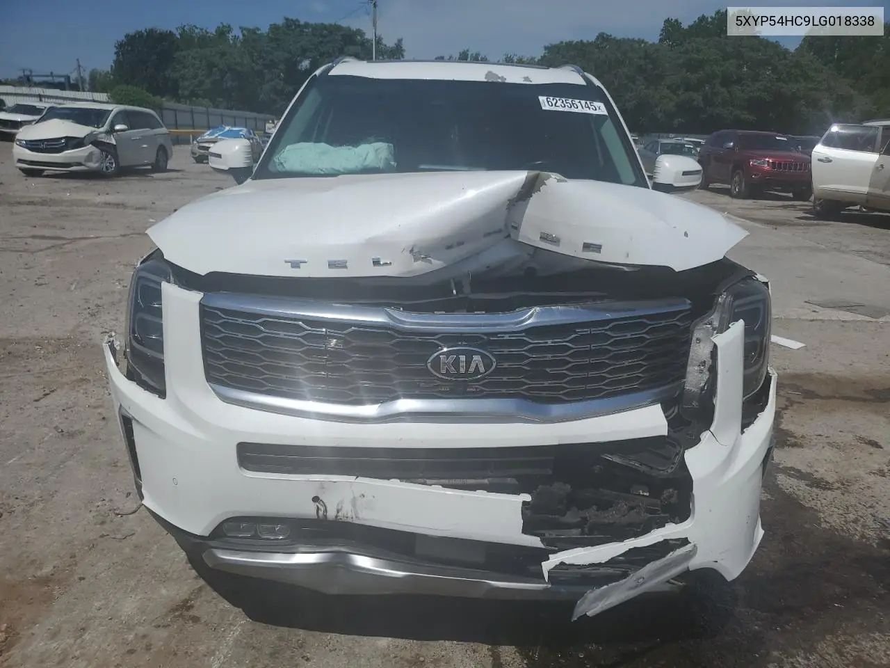 2020 Kia Telluride Sx VIN: 5XYP54HC9LG018338 Lot: 62356145