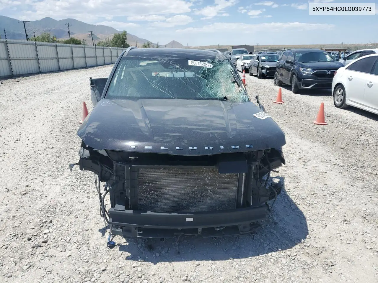 2020 Kia Telluride Sx VIN: 5XYP54HC0LG039773 Lot: 62792925